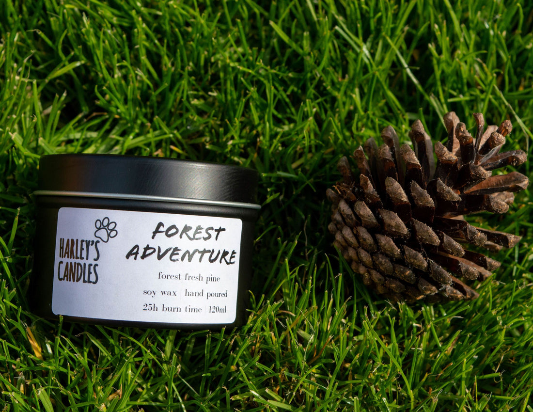 The Best Forest Adventure Candle