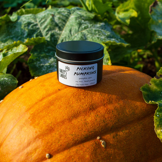 Cozy up with Picking Pumpkins Candle